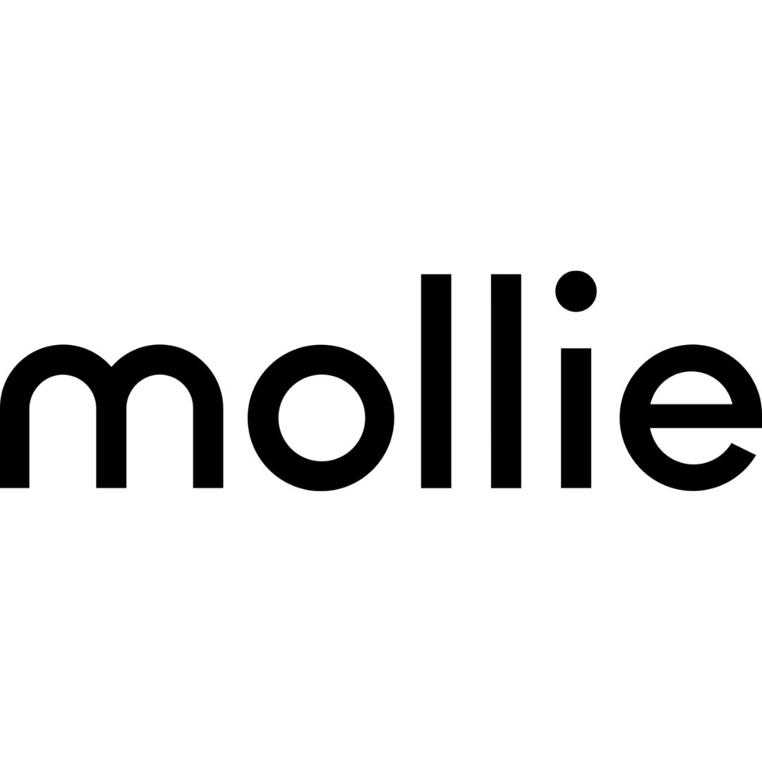 Mollie Capital Streamlines SME Funding in the UK: A Fast and Flexible Alternative